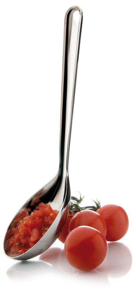 Eva Solo Large Ladle