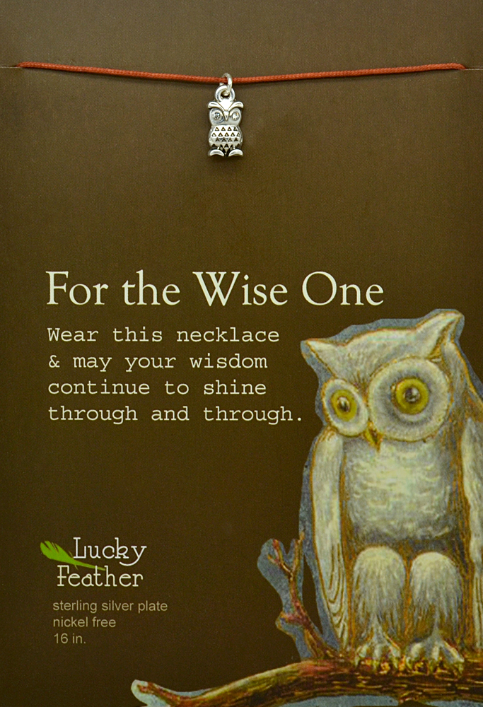 Lucky Feather Pretty Moon Necklace Silver - Owl