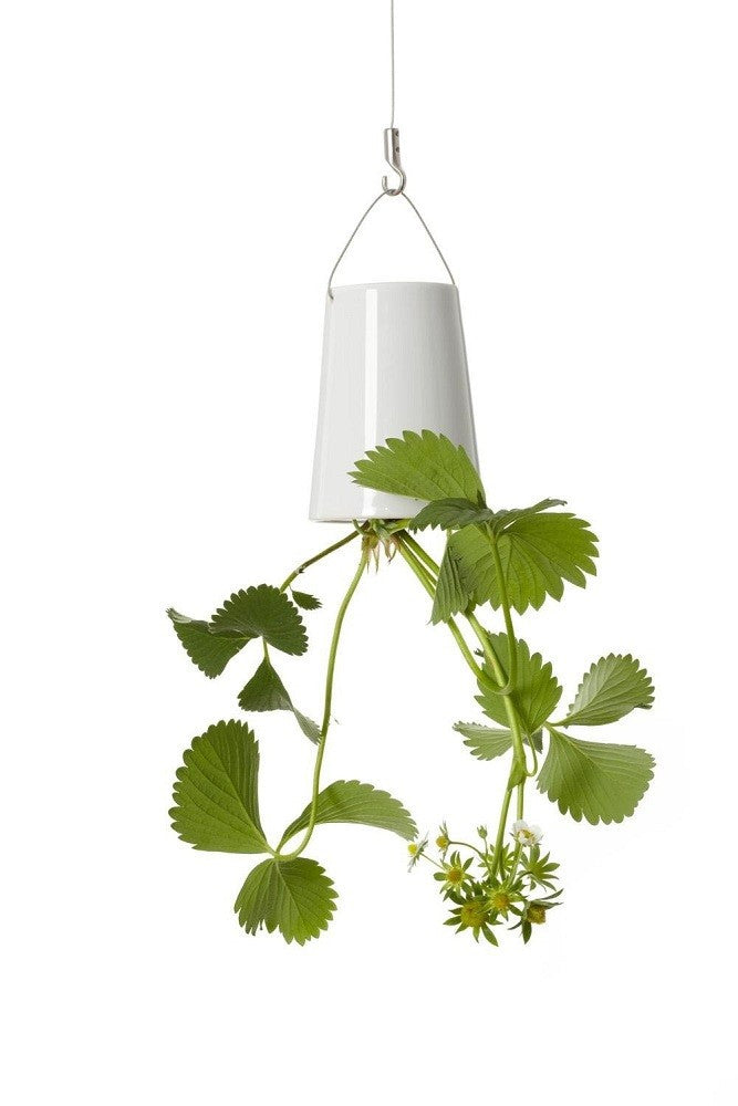 Boskke Sky Planter Ceramic