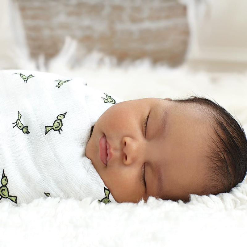 Aden + Anais Classic Swaddle Blankets 4-Pack - Jungle Jam