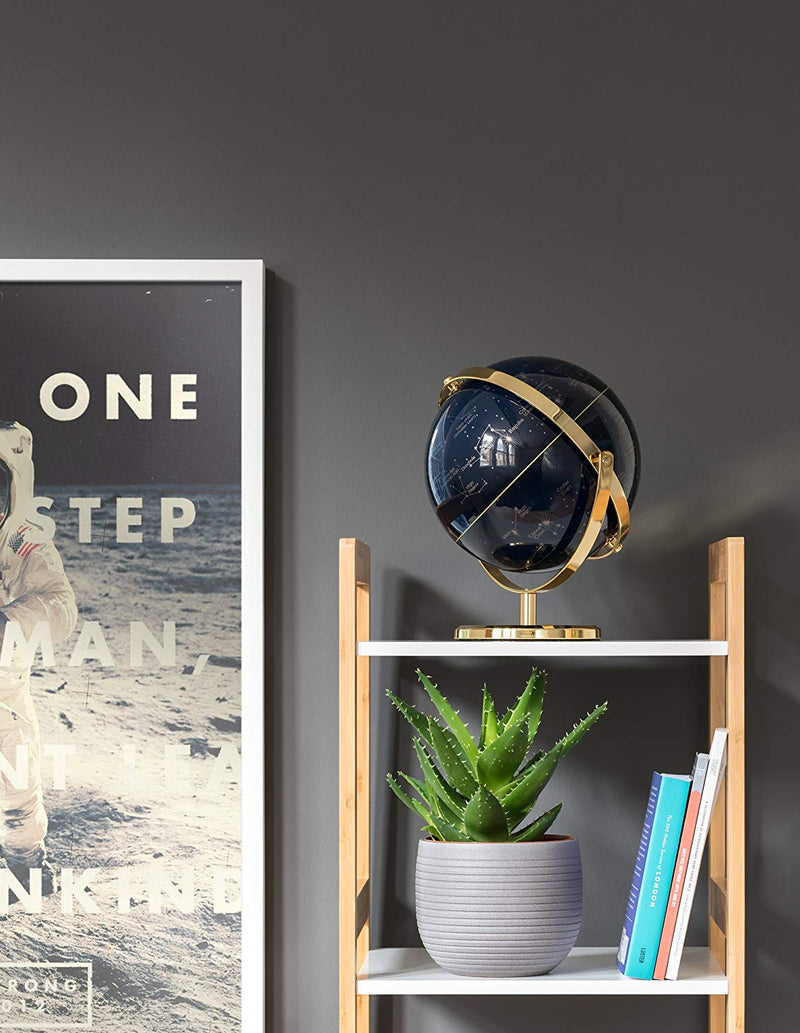 Wild & Wolf Globe 8" Swivel Stand - Night Sky