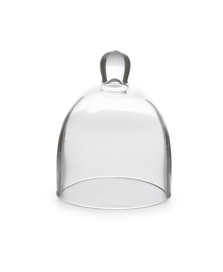 Rosanna Glass Dome Mini