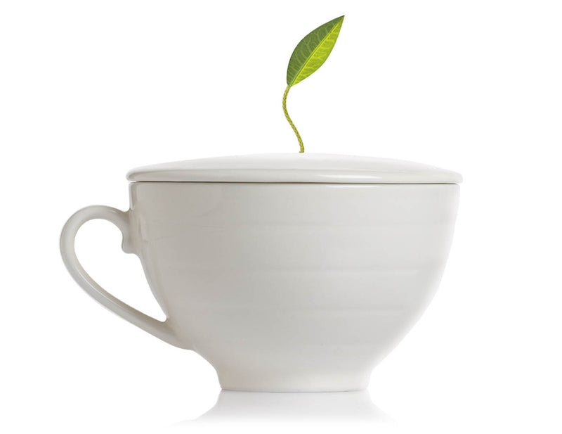 Tea Forte Café Cup- Bone White