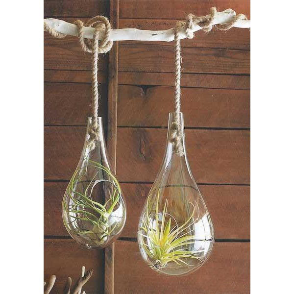Roost Recycled Glass Bubble Hanging Terrariums-Small