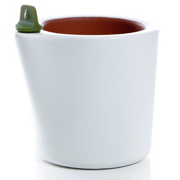 Royal VKB Herb2O Self Watering Pot